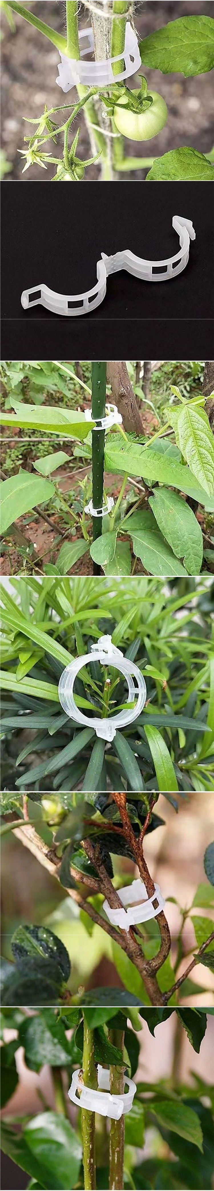 Green plant and fruit tree plant fixing clips, vine fasteners, seedling climbing support rods, fruit and vegetable plant fixing devices