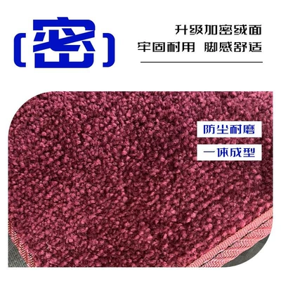 Universal Foot Pad Floor Mats, Zeekr 009 Special Car