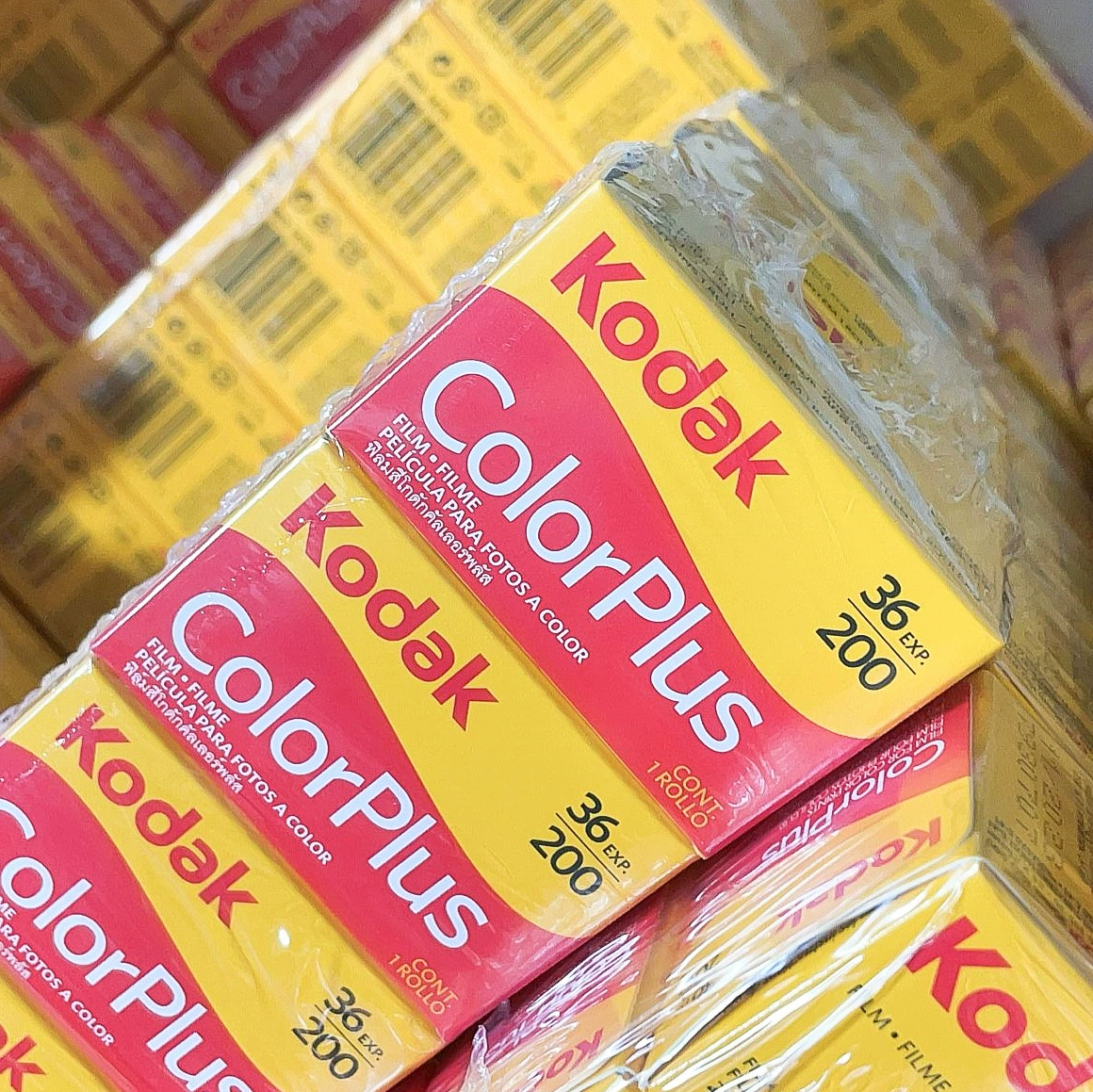 Оригинальная американская Kodak Easy-Photo COLORPLUS CP200 пленка 135 цветная пленка негативная пленка оптовая