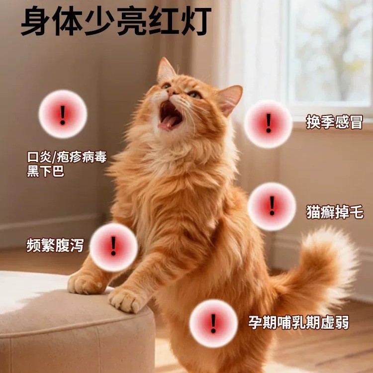Suplemento nutricional para mascotas para gatos y perros para mejorar la inmunidad de los gatos