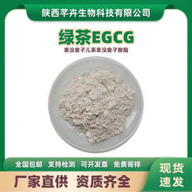 EGCG98% 表没食子儿茶素没食子酸酯 989-51-5绿茶提取物 100g包邮