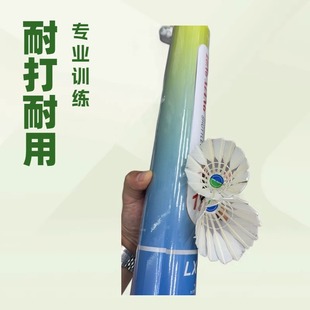 ��ɫ��ë��3ֻ6ֻ12ֻͰ�b��ĭ�^��ë��ë�����Ӗ������