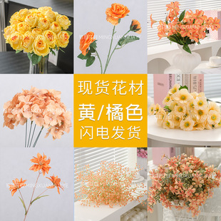 ���滨�Sɫ�ͮ�ĵ���^��ɏõ����ݿ͏d�廨�[����c����ٻ��b�