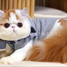 纯种加菲猫幼猫活体橘白大饼脸猫咪幼崽长毛波斯猫宠物猫价格