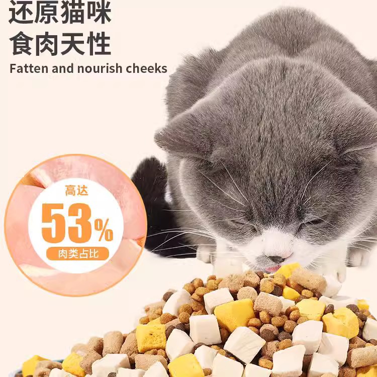 Comida para gatos liofilizada 10 kg 5kg gatitos 20 gatos adultos gato callejero gato británico pastel de gatito corto leche engorde nutrición branquias