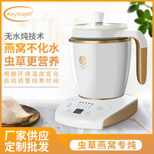 办公室陶瓷1人份养生杯电热煮粥燕窝虫草电炖杯电煮炖盅养生壶