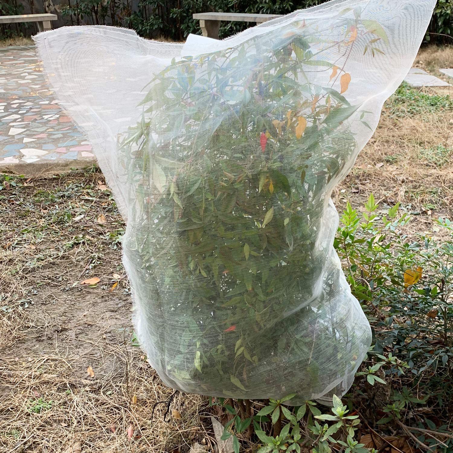 防虫网昆虫网加密密目网纱网蔬菜害虫 植物作物保护网密目网