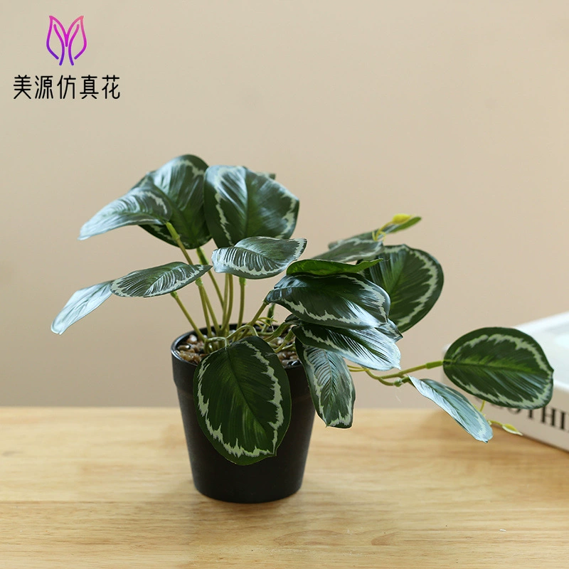 New hanging green plant bonsai manufacturer Plant bonsai Creative Room indoor small ornaments Amazon green plant