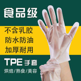 食品级一次性手套批发加厚家用防护TPE手套厨房防油污薄膜tpe手套