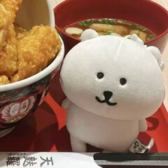 日本のナガノの自嘲熊の人形が可愛いです。