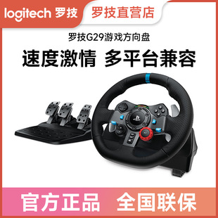 �m���_��G29 �Α���P ������ِ܇�����ֱ��řn�U