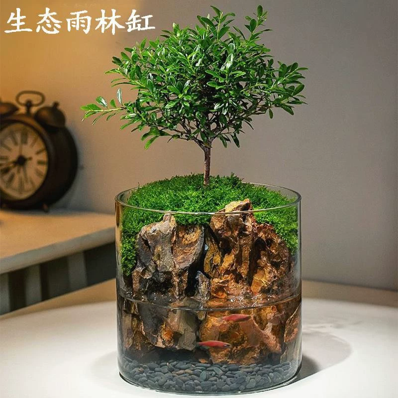 Storm Glass маленькая прямая ваза для суккулентов гидропонная ваза маленький диаметр 10 см высокий стеклянный подсвечник маленькая чашка