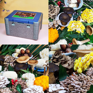 �BƷ���r������Ʒ�Y�к�ţ��¹�׾�Ұ�����׺��^���Y���ͶY�����l