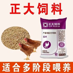 �u����r�u��Ϯa���u�w�����С�u�_���ϏS��ֱ�N���l�g�����l