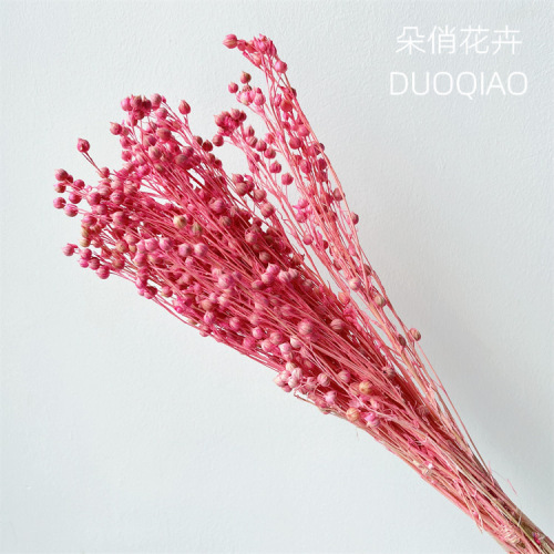 Eternal flowers, love beans, wealth beans, flax seeds, sesame seeds, Yunnan direct sales flower arrangement, dried flowers, home decoration