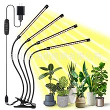�A��ֲ����S+�׹�ȫ���V10�n�{�����Զ����a���