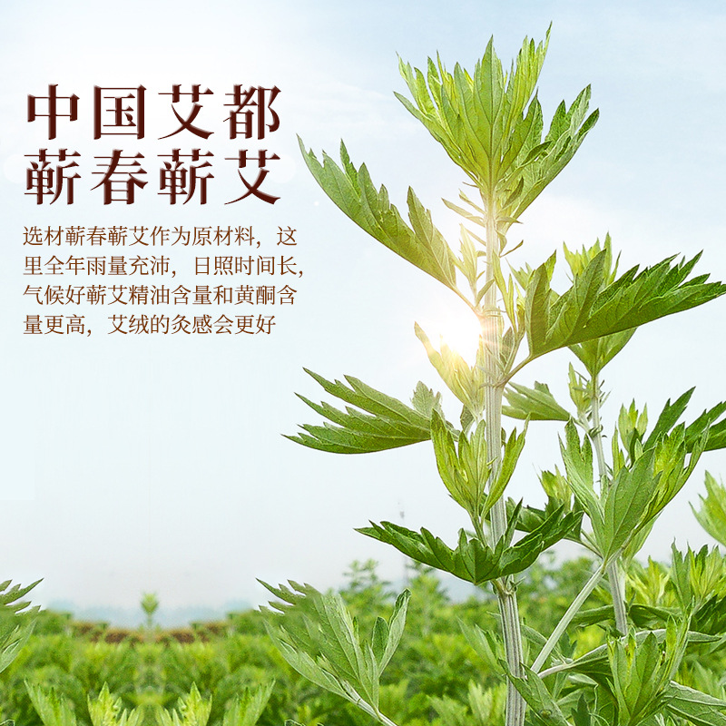 ǧ갬 ϥ׵׵ȷҩؽڰޭ