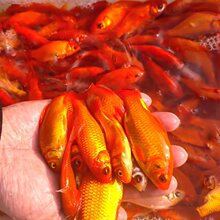 �ݽ��~���~�\���~���^�p�~��ˮ��ˮ�~С�ͺ��B�ͻƷС���~���w