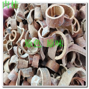 ��� ��Ƥ �����������l ǧ����ș�����l ֧�֙z�y ���_�lƱ 1��