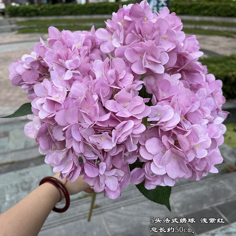 【シミュレーションアジサイ】外国貿易5頭フランスアジサイグリーンフランスアジサイ平が結婚祝いの花卸売りをしている|undefined