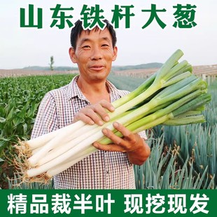 ɽ�|��������[���r�߲�5�ﮔ������պ�u�L�[�r���ԷN�F�U���[��