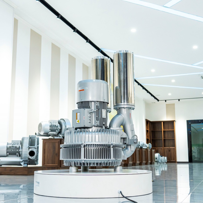 全风环保 LYX-94S-3 25KW 好氧池曝气漩涡气泵