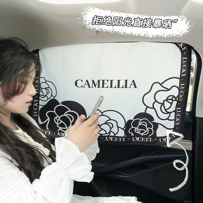 sunshade curtain light luxury simple | Car curtains
