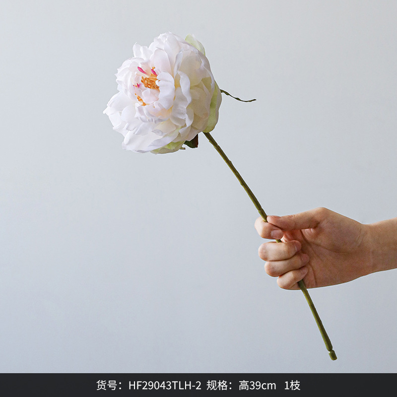 39CM 짧은 가지 봉황 모란 큰 꽃 5575 구아슈 HF29043TLH-2