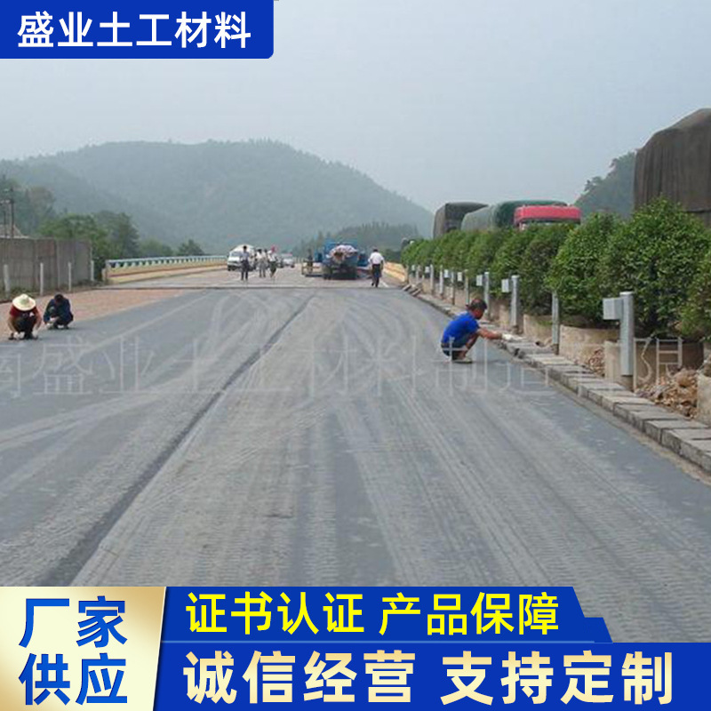 盛业厂家供应长丝烧毛土工布 沥青路面养护工程PET土工布