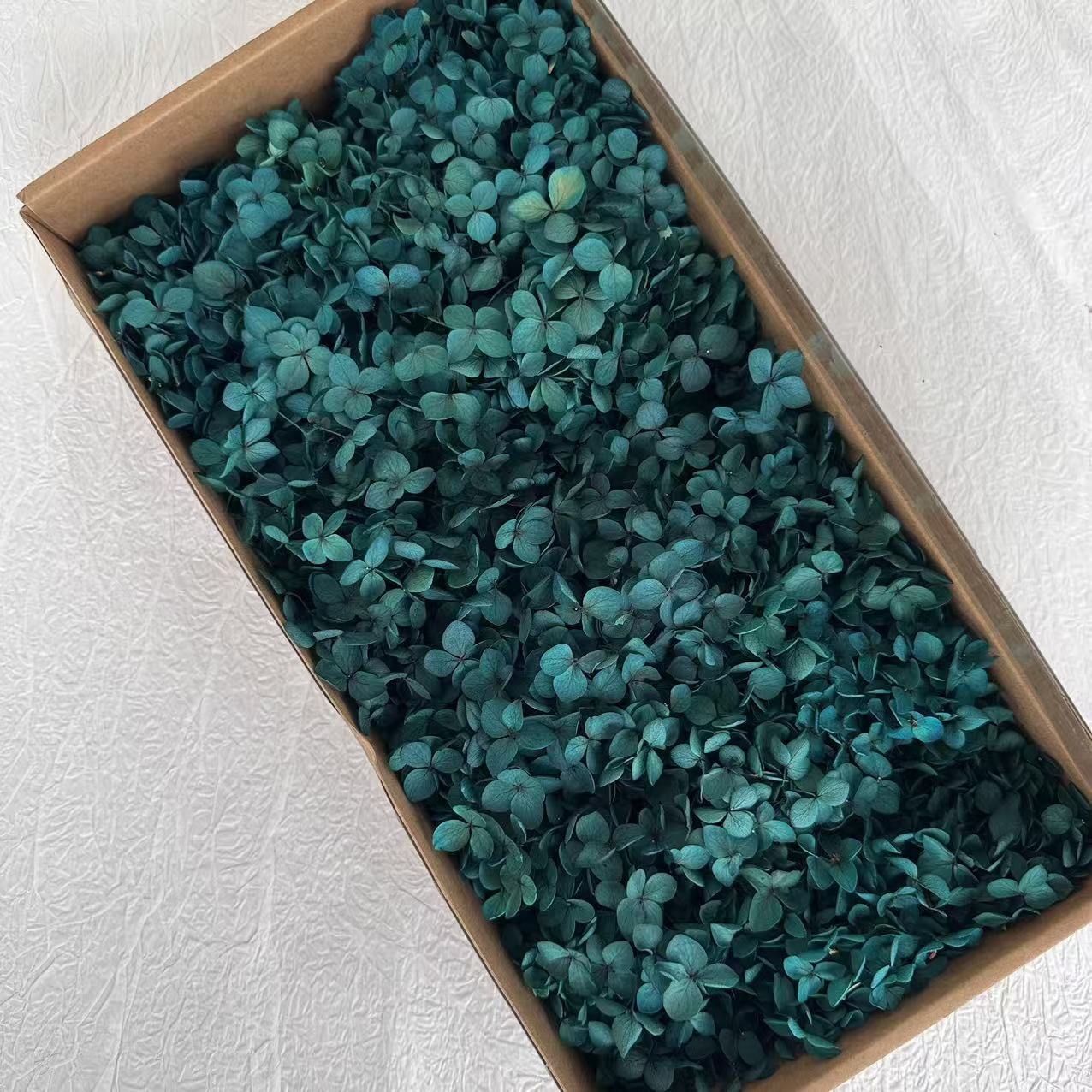 Bleu absorbant la couleur / 5G en boîte