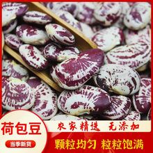 新荷包豆颗粒饱满农家新鲜皇帝豆煲汤豆大肾豆干货红豆批发斑马豆