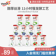 【优丝12杯】yoplait优诺法式优丝酸奶风味低温慢发酵生牛乳早餐