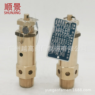 혾��y�TA28X-25T/40/64T�ݗU�Չ��C����ʽ�S�~��ȫ�yDN15 20 25