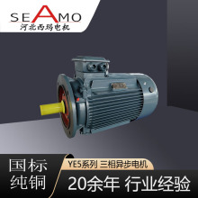 �ӱ�����늙C�������aYE5-8�O2.2-250kw����Ч���ஐ��늄әC