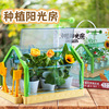 兒童種植玩具種植陽光房觀察盒蔬菜鮮花小盆栽DIY科學實驗套裝