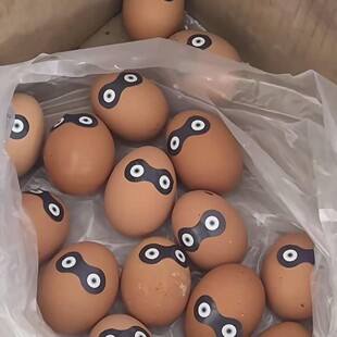 �����������С�������N�������N�A����ɆT����diy���~�b��N