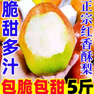 ���ڼt�����������r9�����ˮ���ִ�ѩ������污Ƥ�������l