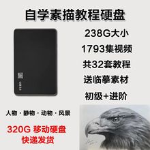 适用于320G移动硬盘素描教程零基础视频手绘画入门自学课程人像几