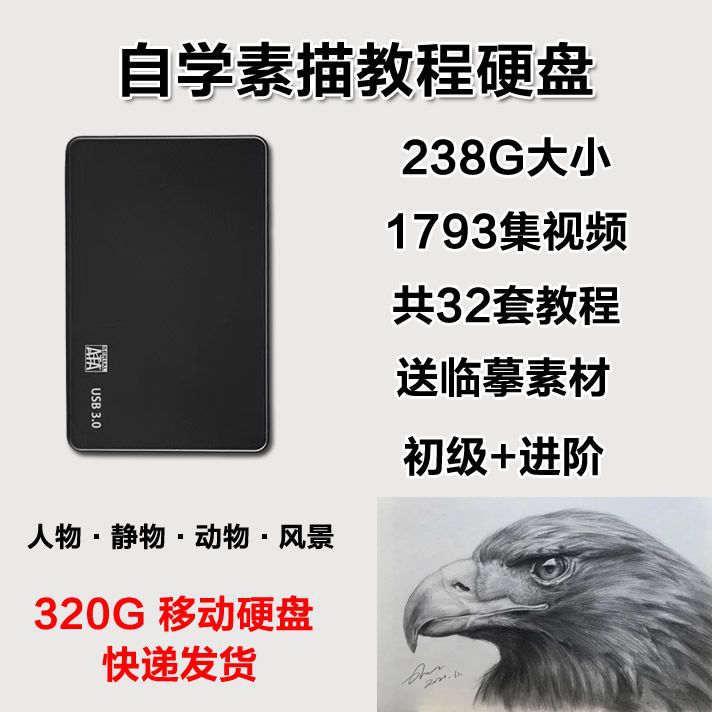 适用于320G移动硬盘素描教程零基础视频手绘画入门自学课程人像几