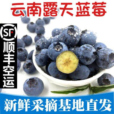 Blueberry Yunnan Open air fresh Pick Base Straight hair pregnant woman fruit baby Complementary food Season Season Fresh fruit specialty