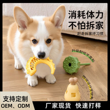狗狗玩具莲蓬漏食耐咬磨牙自嗨解闷神器小型犬益智宠物藏食器玩具