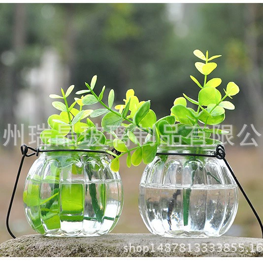 Подвесная прозрачная стеклянная ваза Маленькая бутылка из тыквы Простой гидропонный цветочный сосуд Внутренний сад Бутылка для украшения дома