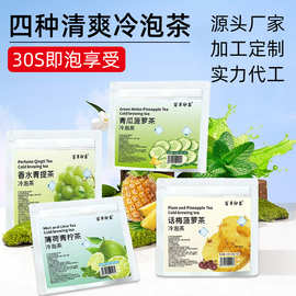 水果冷泡茶包话梅菠萝青提薄荷青柠青瓜菠萝独立小包装组合花果茶