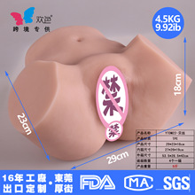 �gɫ���w��ƨ����ε�ģ��ο������������Ȥ�ք��β��w�C����Ĥ