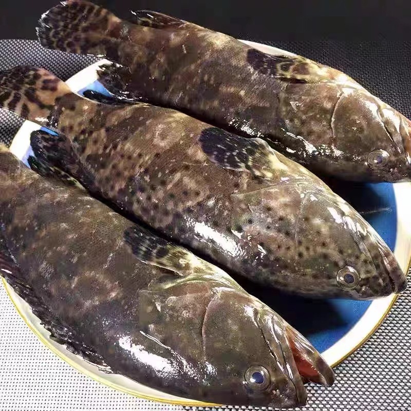 O1CN01koHWv82FkUvIse2e2_!!2214