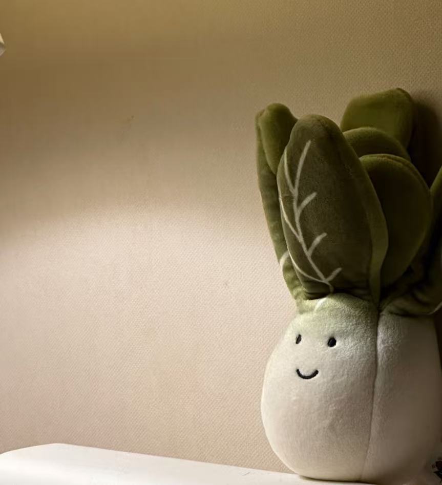 コレクション1;