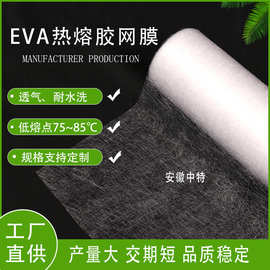工厂直销粘绒布 EVA热熔胶网膜  耐水洗 热熔膜