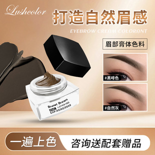 Guangzhou Aseptic Workshop Directly Supplies Paste Pattern Color Wild Line Silk Fog Eyebrow Cream Body Training School Same