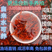 С�~���^�p�~�ݽ��~��һ�ﵭˮ����~������B���B�ͻ���B�\���~