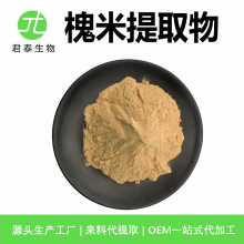 ������ȡ�� ���׷� ˮ�� ԭ�� ������ȡҺ ������ȡ��95%�J�� 1kg